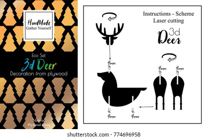 New Year gift set. Package design. Installation instructions. 3D deer of plywood.