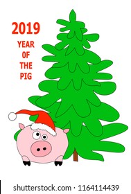 New Year greeting card with amusing pig, symbol of 2019 on the Chinese calendar, and spruce. There is a place for the author's text. Design for greeting, postcard, invitation, t-shirt