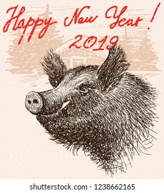 New Year greeting card with a boar, a symbol of 2019