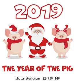 New Year greeting card. Cute cartoon Santa Claus and pigs. Vector illustration. Isolated on white. Lettering "2019 the Year of the Pig" text. 
