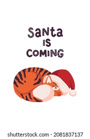 New year greeting card with cute tiger. Cat sleep in Santa hat. Chinese new year symbol. Text lettering Santa is coming. Isolated on white background