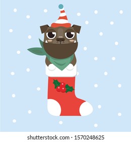 New Year Icon dog. The puppy sits in a Christmas sock.