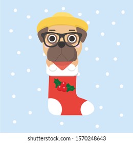 New Year Icon dog. The puppy sits in a Christmas sock.