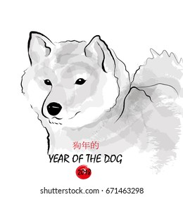  New year illustration with dog shiba inu. Chinese translation at the bottom of the image represents "The year of the dog". Dog concept.