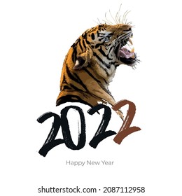 New year illustration happy new year 2022. Tigar sign of the new year. Vector graphics. Animal of the new year. Zodiac sign.