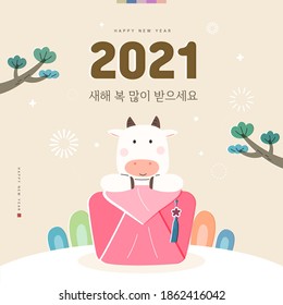 New Year illustration. New Year's Day greeting. Korean Translation : "Happy New Year"
