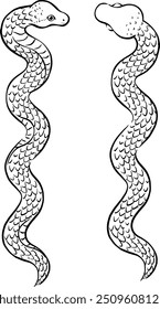 Material de año Nuevo, ilustración de serpiente de trazo de pincel dibujado a mano
