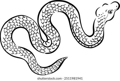 Material de Ano Novo, pincel desenhado à mão traçado cobra ilustração
