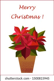 New Year and Merry Christmas decoration card.Red poinsettia.The main symbols of the holiday. Vector logo, emblems, text design. Usable for , greeting cards,poster, gifts etc.