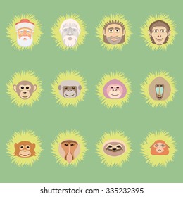 New Year monkey evolution set.