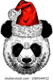 new year Panda in Santa Claus hat