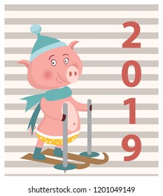 new year of the pig, pig, vector