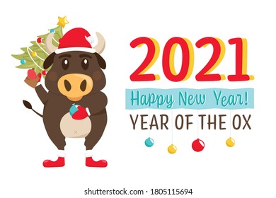 New year postcard. Chinese year of the bull. 2021. Greeting card, poster element with a funny ox character in a flat cartoon style. Editable vector illustration isolated on a white background.