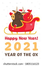 New year postcard. Chinese year of the bull. 2021. Greeting card, poster element with a funny ox character in a flat cartoon style. Editable vector illustration isolated on a white background.