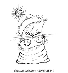 a New Year s kitten in a hat and in a bag. A kitten in a bag. Surprise. Vector illustration