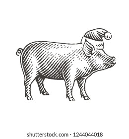 New Year Sign Zodiac Pig. Hand drawn engraving style illustrations.