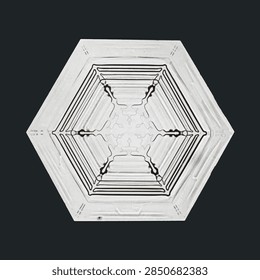 New year snowflake vector macro photography, remix of art by Wilson Bentley