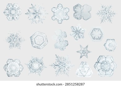 New year snowflake vector macro photography set, remix of art by Wilson Bentley