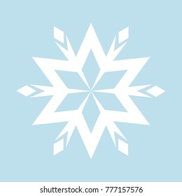 new year Snowflake winter Icon 