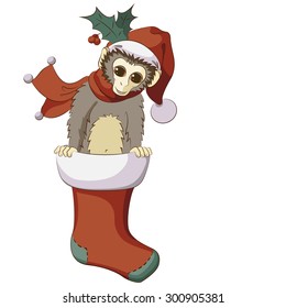 New Year style cute little brown monkey wearing red Santas hat and scarf with holly leaves, popping out from Christmas red stocking
