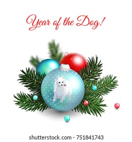 New Year tree ball with white Japanese spitz in isolated Christmas composition with fir branches and beads