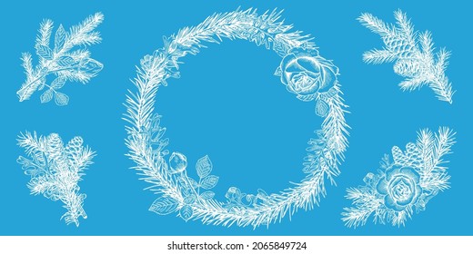 New year vector collection. Set with bouquets and a wreath with fir branches and cones and roses. Engraving style. Skyblue and White background. 