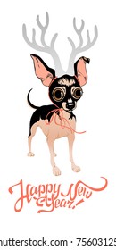 New Year's card with funny dog. Toy Terrier
