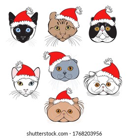 New Year's cats of different breeds. Vector set of  cats face in Santa's hat. Seven hand-drawn isolated  elements on white. 