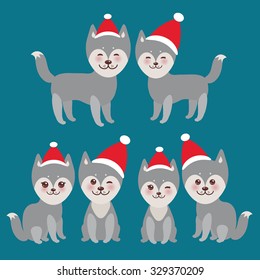  New Year's and Christmas funny gray husky dog in the red hat, Kawaii face with large eyes and pink cheeks, boy and girl  on blue background. Vector