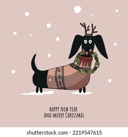 A New Year's dachshund in a cute sweater, holding a Christmas wreath in her teeth. A postcard for the winter holiday. Vector illustration of the invitation. Happy New Year and Merry Christmas.