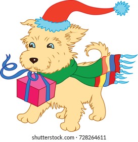 New Year's dog