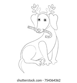 New Year's dog