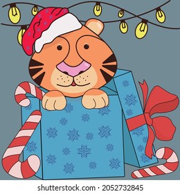 New Year's drawing. Tiger in a box. Card. New Year. Illustration for the new year. Symbol of 2022. Candies. Present. Garland.
