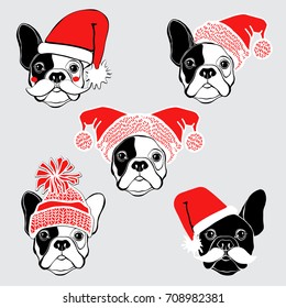 New Year's  French bulldog. Vector set of  dog's face in Santa's hat. Five hand-drawn isolated  elements on a gray background. Dog - animal symbol of new year 2018.