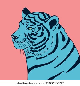 New Year's illustration of a blue tiger on a pink background. The Water Tiger is the symbol of the Chinese New Year 2022. It is suitable for use for postcards, gifts, websites, social media.