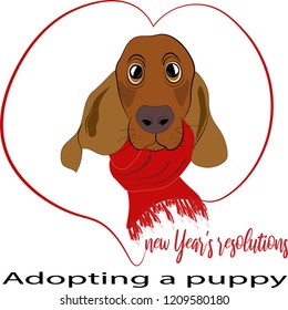 New Year's resolutions. Adopting a puppy. Lifestyle concept.