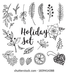 new year's set of winter branches on a white background