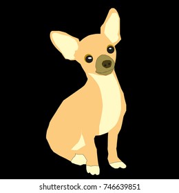 New Years yellow chihuahua dog illustration