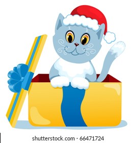 The new year's-cat in the box. Isolation on white. Vector illustration.