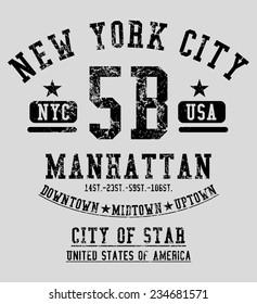 new york city vector art