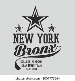 New york Star graphic design vector art