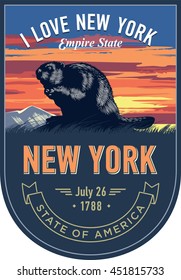 New York state emblem, Beaver, sunset on a blue background