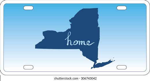 New York state license plate vector