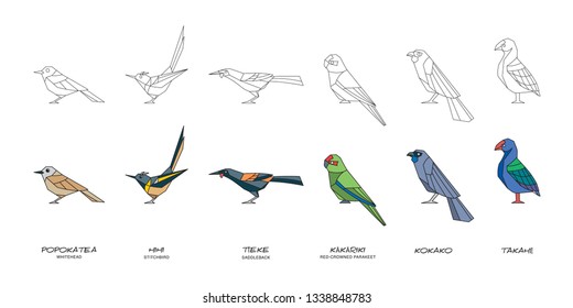 New Zealand bird: Takahe, Stitchbird, Red-crowned parakeet, Saddleback, Kokako and Whitehead.
