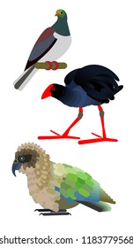 the New Zealand birds