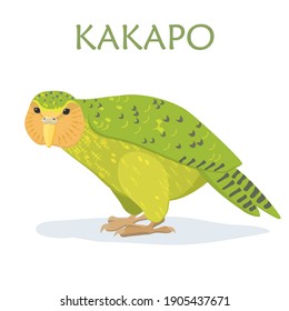 New Zealand endangered flightless bird. Parrot kakapo (owl parrot). Isolated on white background vector illustration