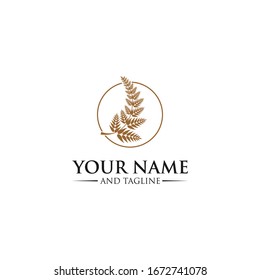 new zealand leaf logo luxury leaf logo design inspiration . fern logo design inspiration . fern leaf logo template . luxurious style