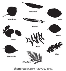 new zealand natives leaves drawings