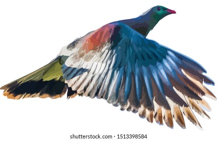 New Zealand Pigeon Keruru Bird