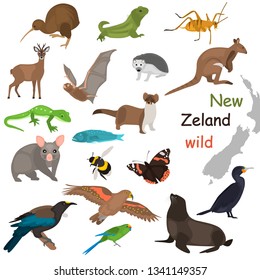 New Zeland wild animals color flat icons set for web and mobile design